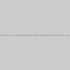 Image of Recombinant Corynebacterium Diphtheriae ddl Protein (aa 1-365)